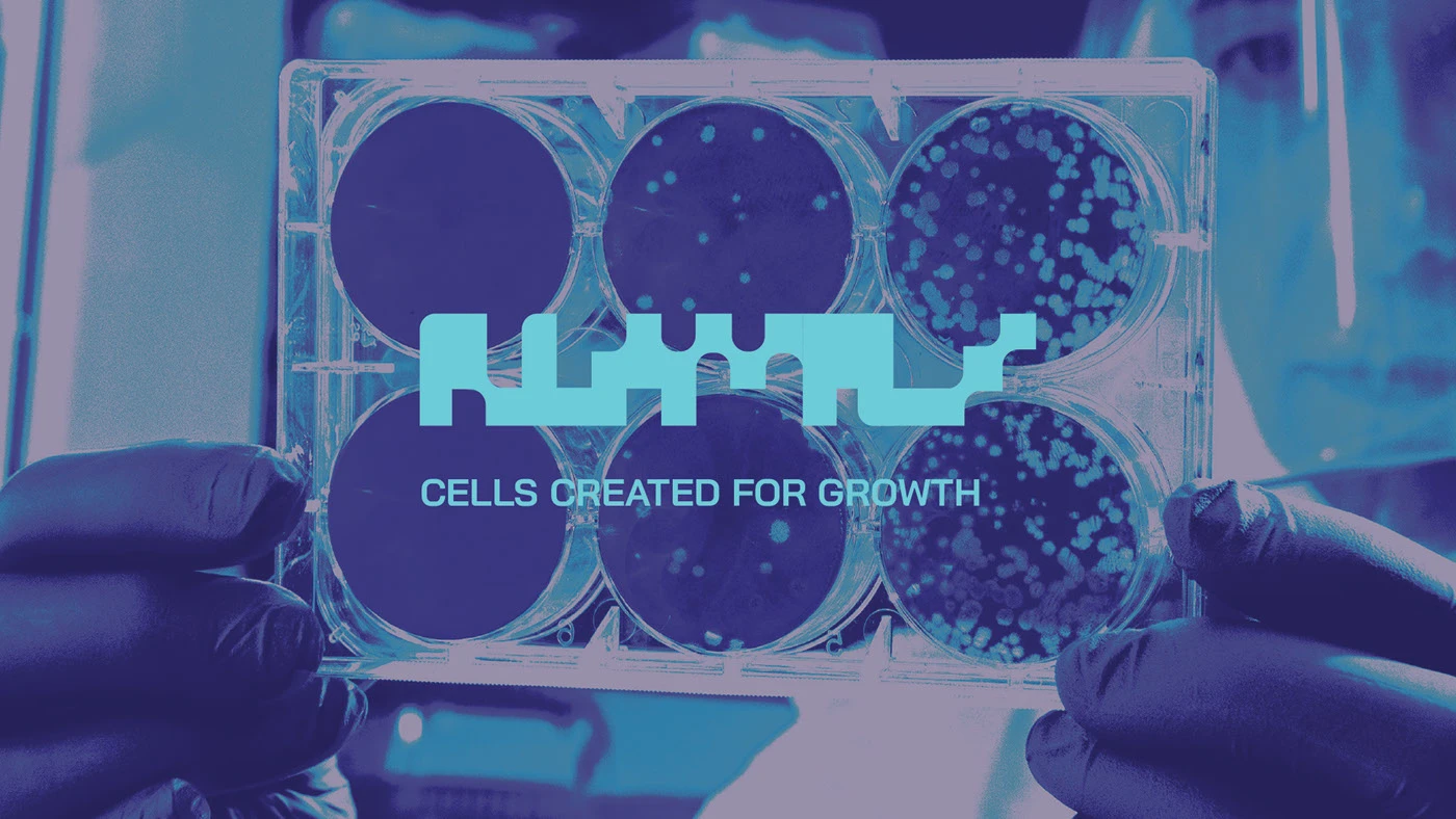 Laboratory culture tray photography overlaid with the RLAM Life Sciences wordmark and the line Cells Created for Growth.